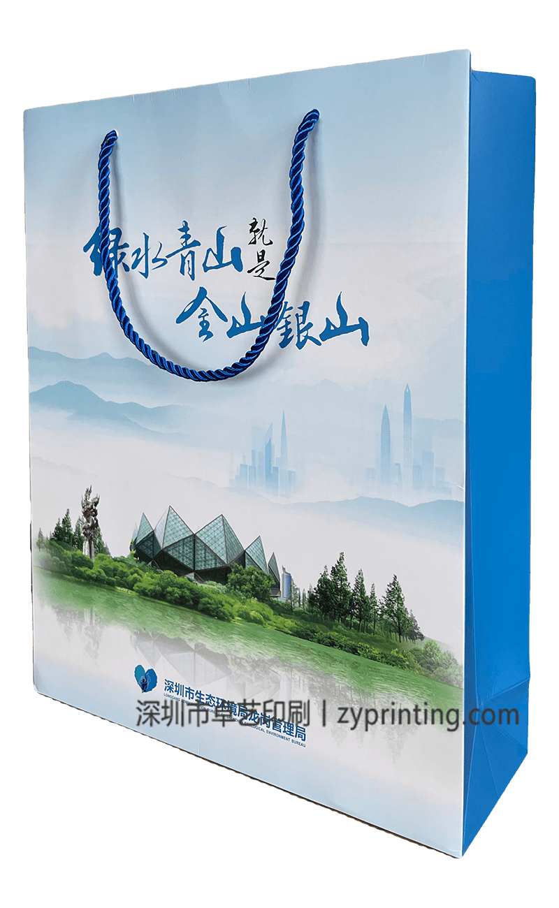 龙岗环境局纸袋-正.png