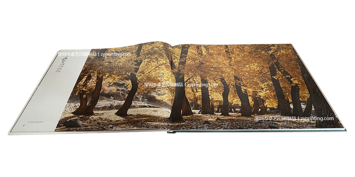 1624431800402705.png 1624431800402705.png