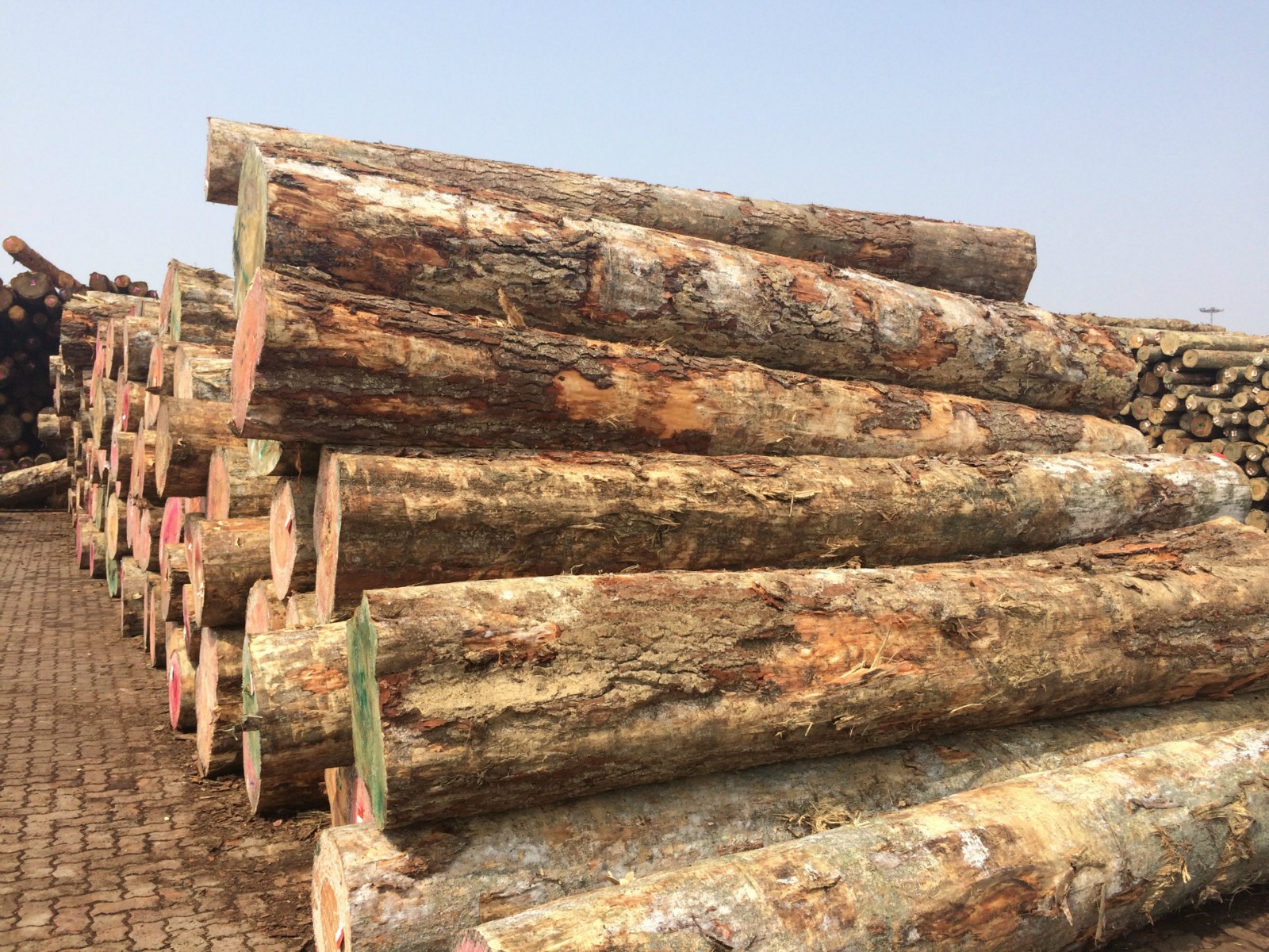 1625287102195142.jpg 1625287102195142.jpg