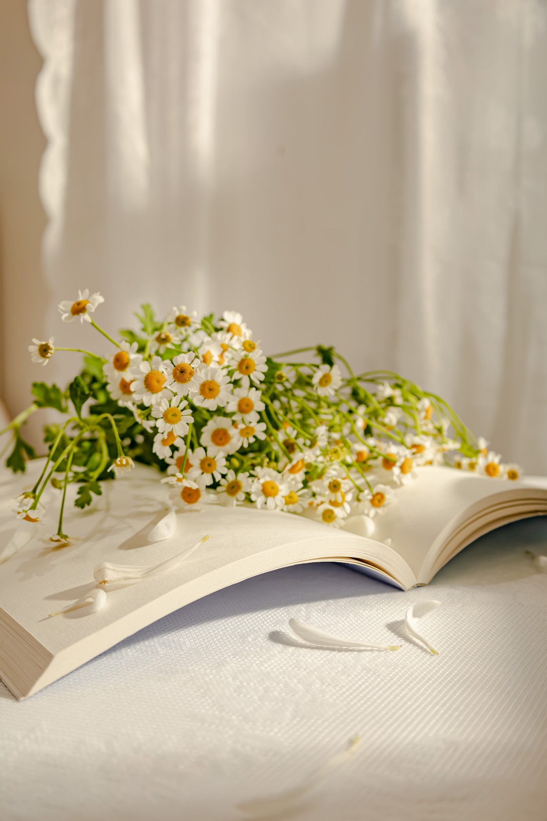 1627367699310841.jpg 1627367699310841.jpg