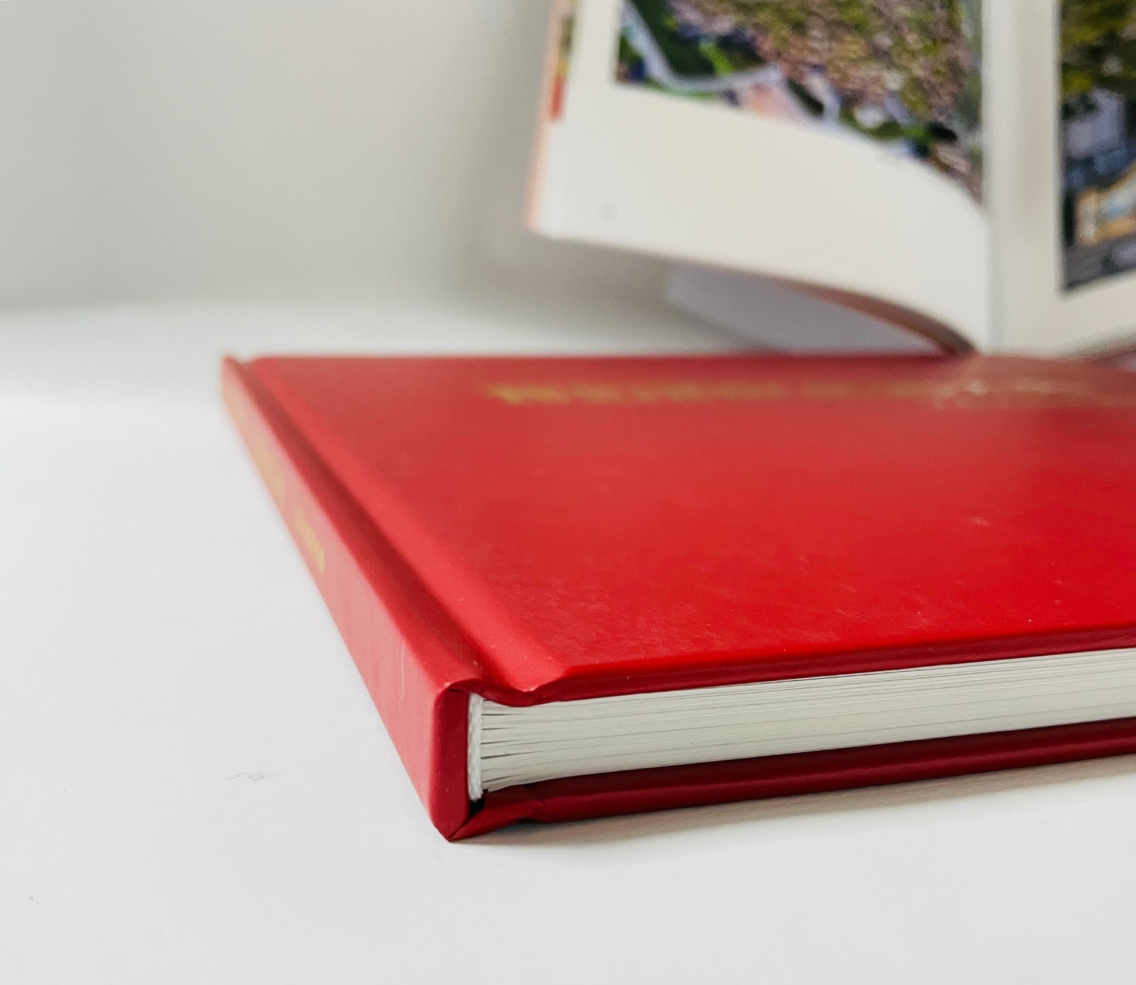 1627385078331700.jpg 1627385078331700.jpg