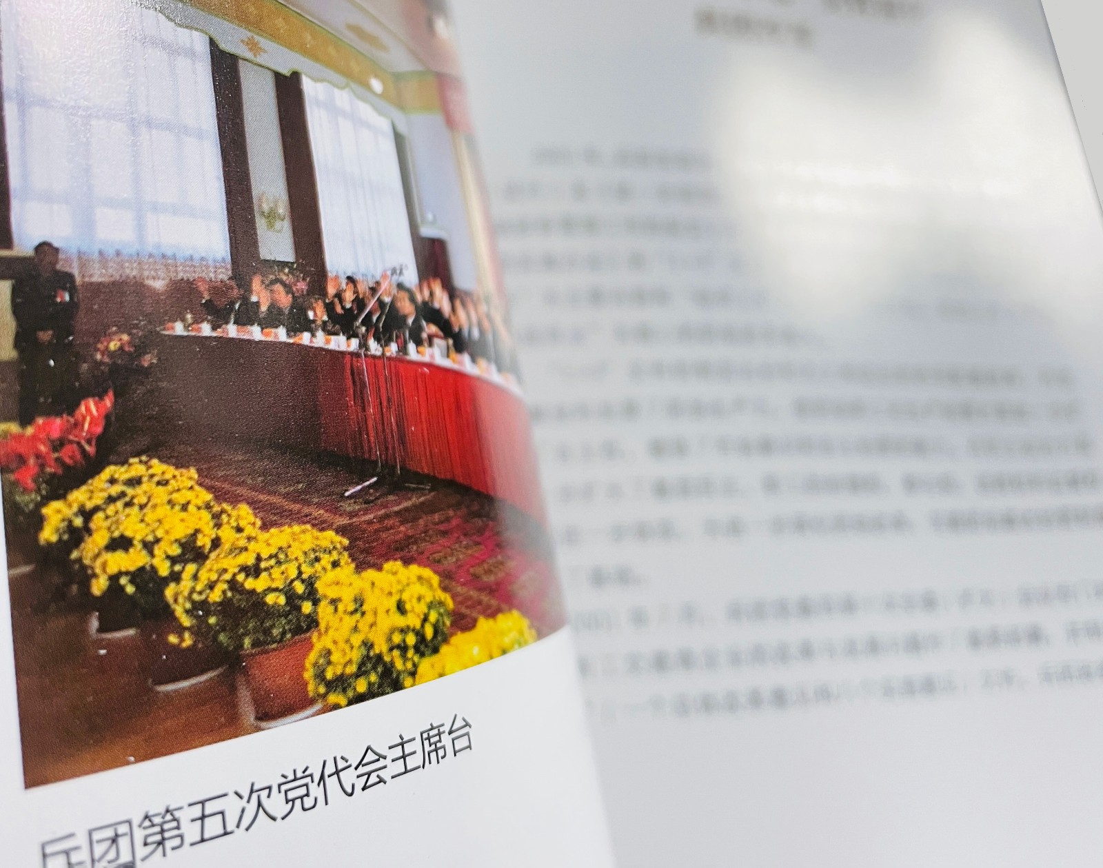 1627638075128642.jpg 1627638075128642.jpg