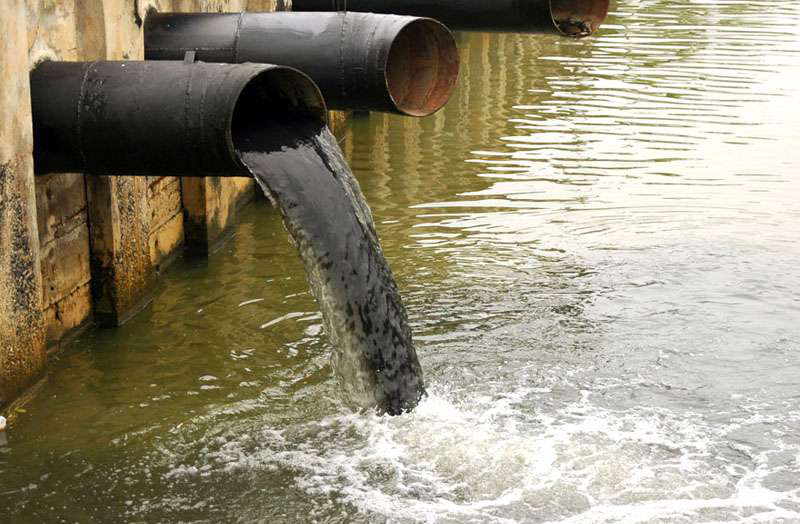 1629102283880619.jpg 1629102283880619.jpg