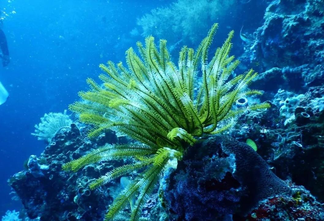 1632370886441788.jpg 1632370886441788.jpg