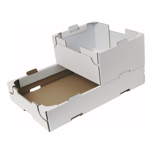 1634098082693339.jpg 1634098082693339.jpg