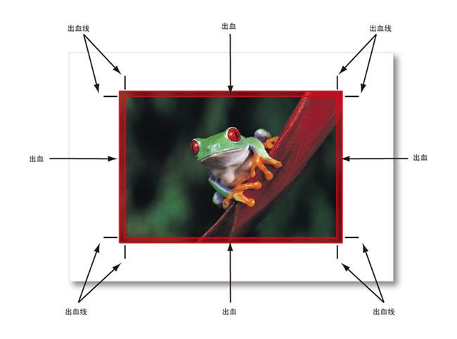 1639989642625594.jpg 1639989642625594.jpg