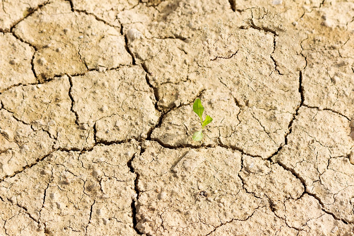 1640169903759827.jpg 1640169903759827.jpg